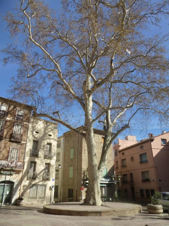 ריווזאלט Hotel" La Tour De L'Horloge " מראה חיצוני תמונה